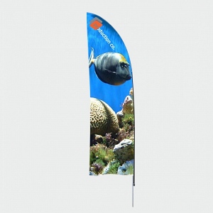 fla 5